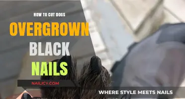 Trimming Black Nails: A Safe Guide for Dog Owners
