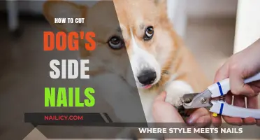 Trimming Your Dog's Nails: A Safe and Easy Guide