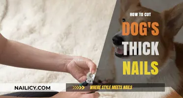 Trimming Your Dog's Thick Nails: A Step-by-Step Guide