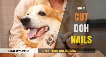 Trimming Dog Nails: A Simple Guide