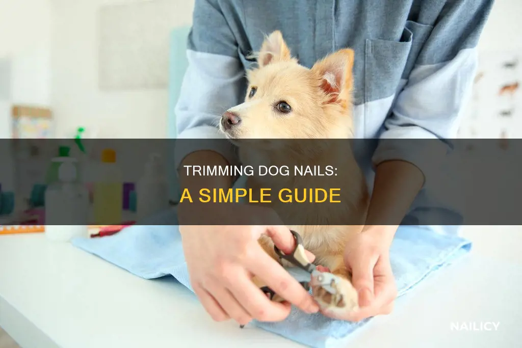 how to cut doh nails