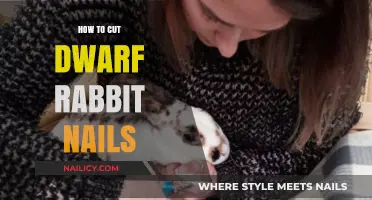 Trimming Your Dwarf Rabbit's Nails: A Step-by-Step Guide