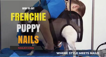 Trimming Your Frenchie Puppy's Nails: A Step-by-Step Guide
