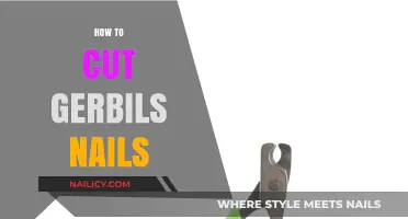 Trimming Gerbil Nails: A Step-by-Step Guide