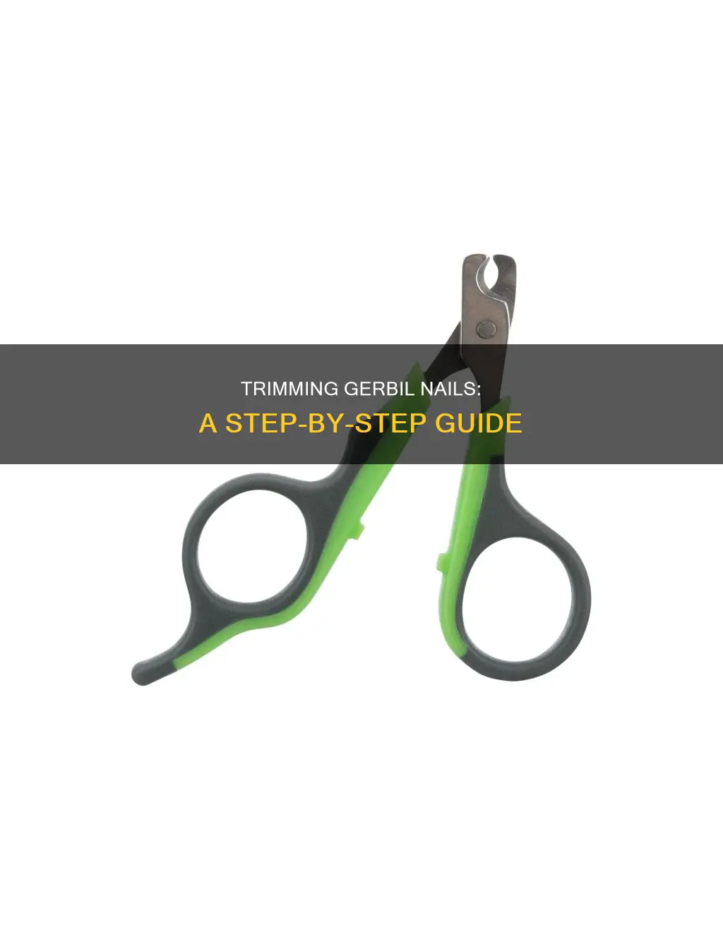 how to cut gerbils nails