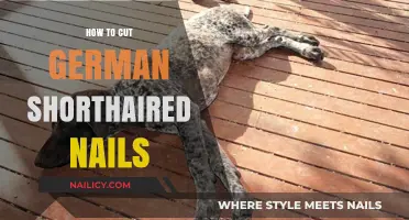 Trimming Your German Shorthaired Pointer's Nails: A Step-by-Step Guide