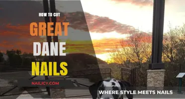 Trimming Your Great Dane's Nails: A Step-by-Step Guide