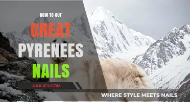 Trimming Your Pyrenees Nails: A Quick Guide