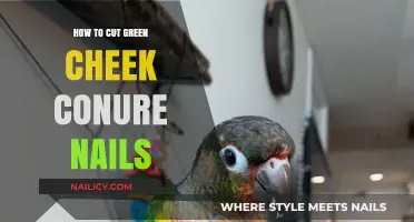 Trimming Green Cheek Conure Nails: A Step-by-Step Guide