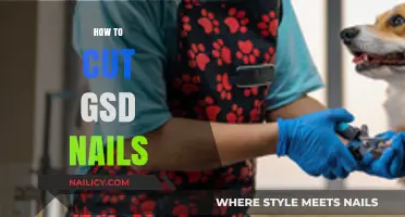 Trimming Your GSD's Nails: A Step-by-Step Guide