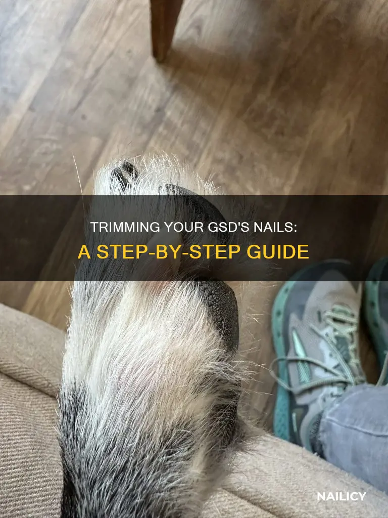 how to cut gsd nails