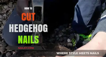 Trimming Hedgehog Nails: A Step-by-Step Guide