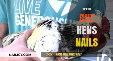 Trimming Your Hen's Nails: A Quick Guide