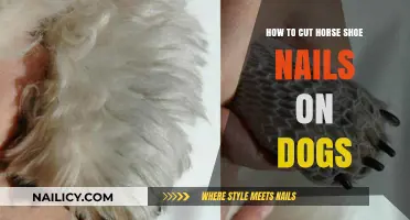 Trimming Your Dog's Nails: The Horseshoe Method