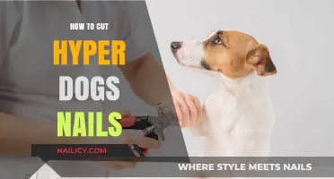 Trimming Hyper Dog Nails: A Step-by-Step Guide