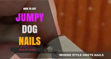 Calmly Cutting Your Dog's Nails: A Step-by-Step Guide