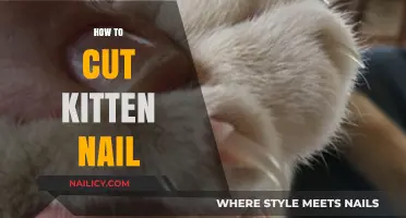 Trimming Your Kitten's Nails: A Step-by-Step Guide