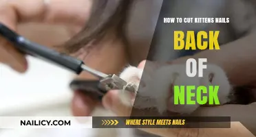 Trimming Kittens' Nails: Focus on the Back of the Neck