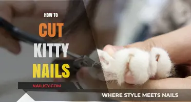 Trimming Your Cat's Nails: A Step-by-Step Guide