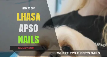 Trimming Your Lhasa Apso's Nails: A Step-by-Step Guide