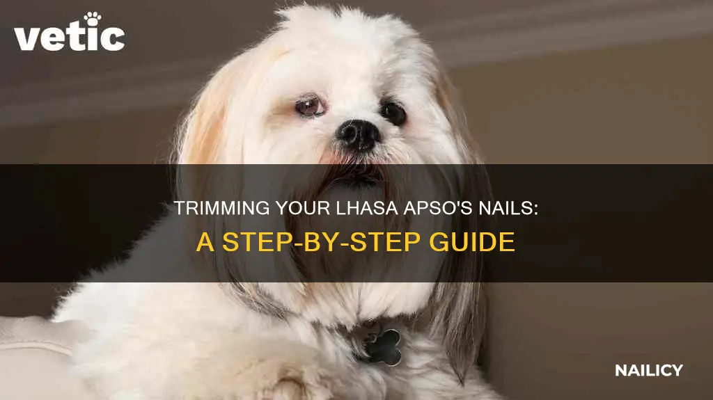 how to cut lhasa apso nails