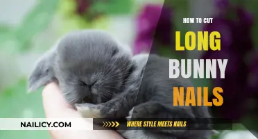 Trimming Bunny Nails: A Step-by-Step Guide