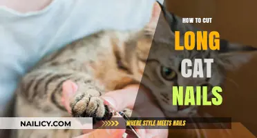 Trimming Your Cat's Nails: A Step-by-Step Guide