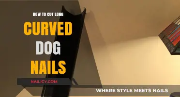 Trimming Your Dog's Curved Nails: A Step-by-Step Guide
