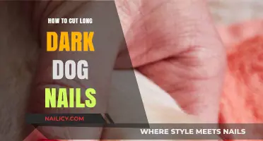 Trimming Dark Dog Nails: A Step-by-Step Guide