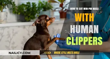 Trimming Your Min Pin's Nails: A Safe, Easy Guide