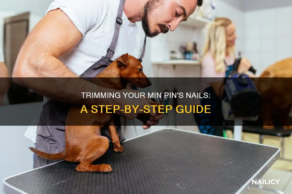 how to cut miniature pinscher nails