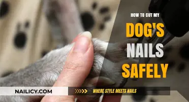 Trimming Your Dog's Nails: A Safe Guide
