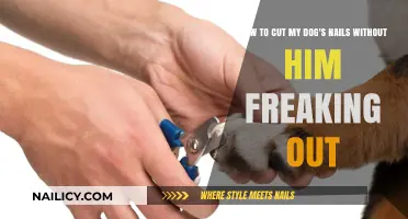 Calmly Trim Your Dog's Nails: A Step-by-Step Guide