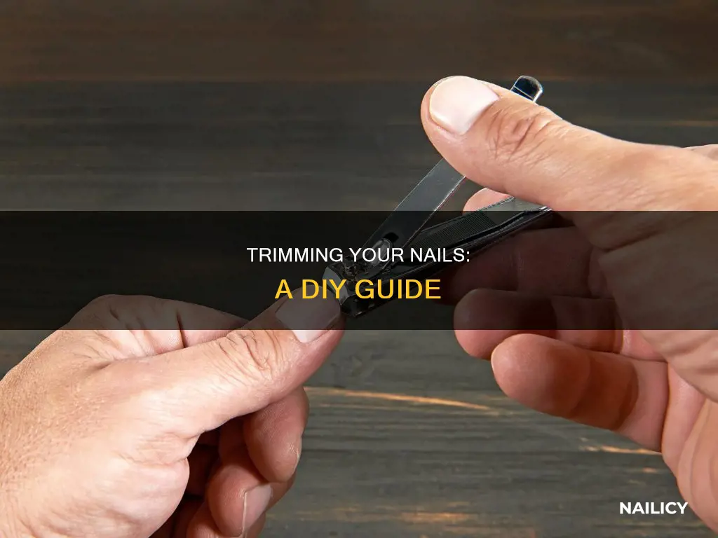 how to cut my own nails