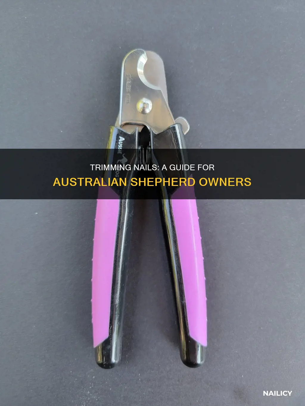 how to cut nails for an australian shepard
