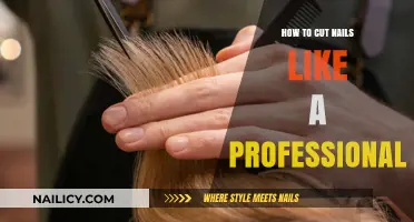 Perfect Nails: Professional Manicure Techniques for Beginners