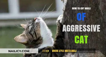 Calmly Clipping: Trimming an Aggressive Cat's Nails