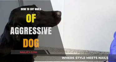 Calmly Clipping an Aggressive Dog's Nails