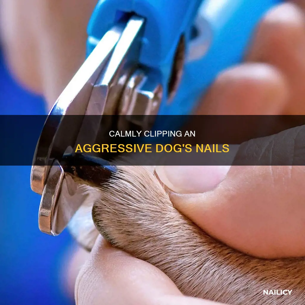 how to cut nails of aggressive dog