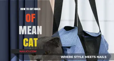 Calmly Cutting Cat Claws: A Step-by-Step Guide