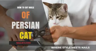 Trimming Your Persian Cat's Nails: A Step-by-Step Guide