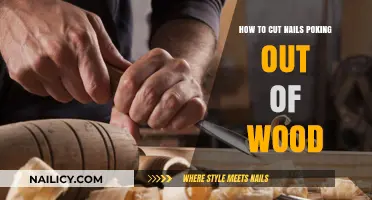 Trimming Nails: A Quick Fix for Protruding Wood Nails