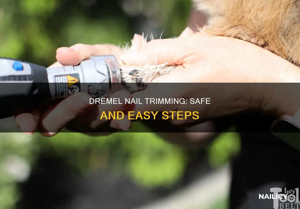 how to cut nails with a drimmels