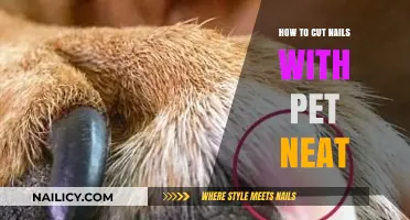 Keep Pet Nails Trimmed and Neat: A Simple Guide