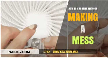 Keep Nails Trimmed and Tidy: No Mess, No Fuss