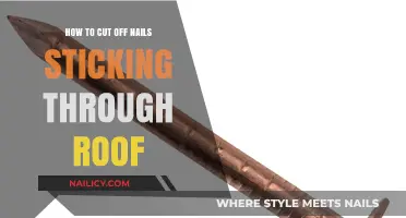 Fixing Nails Protruding Through Your Roof: A Quick Guide