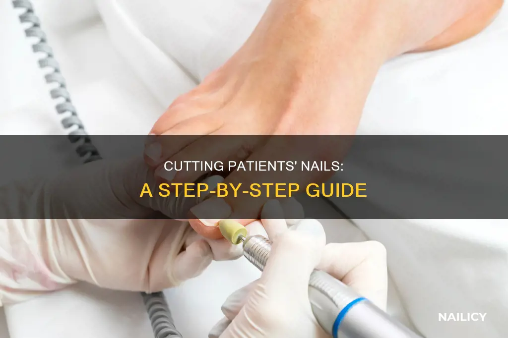 how to cut patients nails