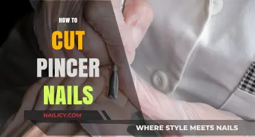 Trimming Your Baby's Nails: A Safe Guide for Pincer Nails