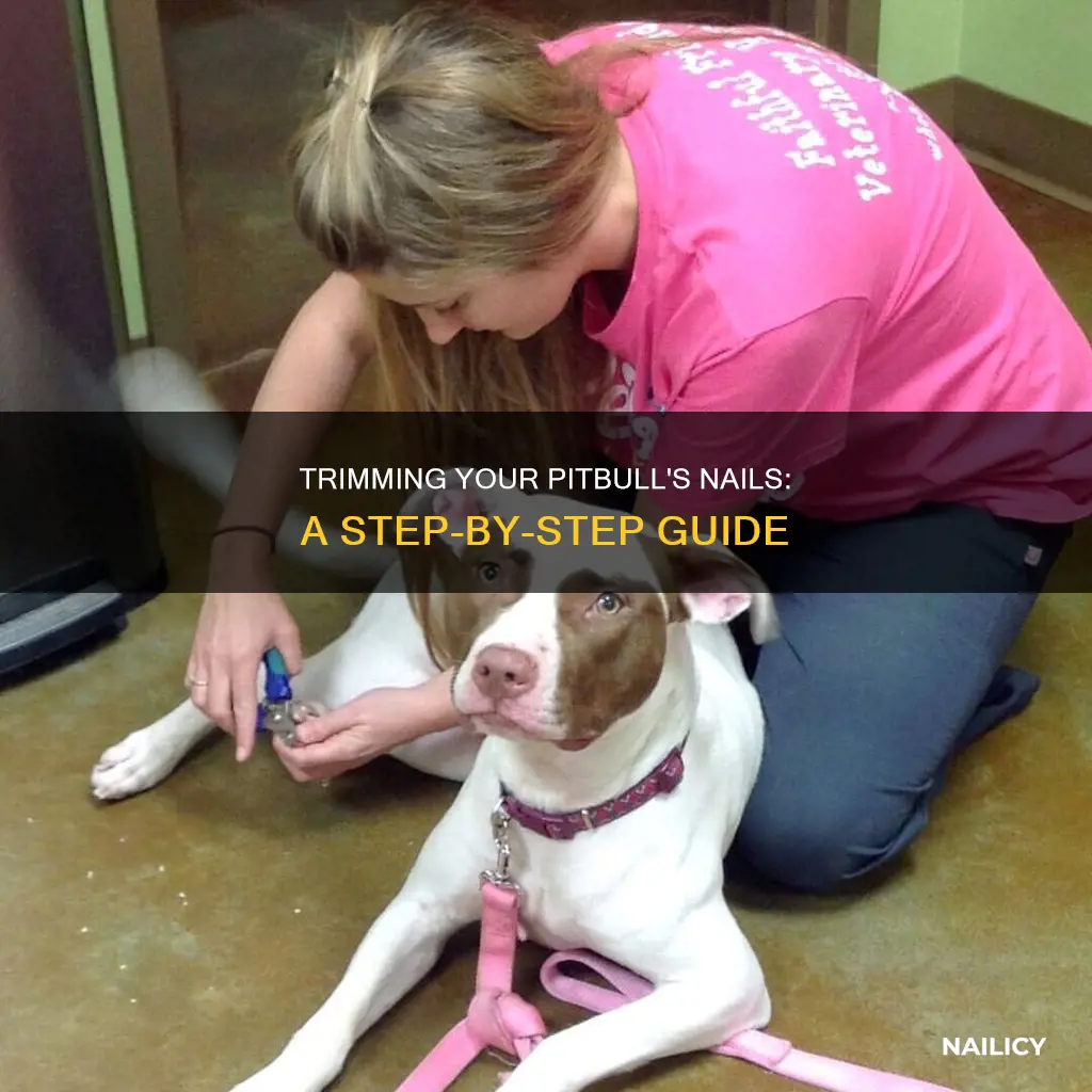 how to cut pitbull nails