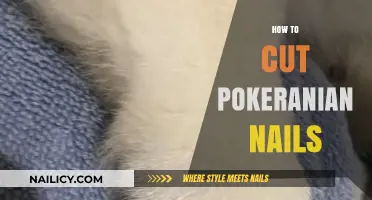 Trimming a Pomeranian's Nails: A Step-by-Step Guide